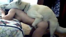 Реальное видео: зоофилка дома ебётся с собакой