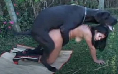 Здоровый дог шпарит раком девчонку в кустах